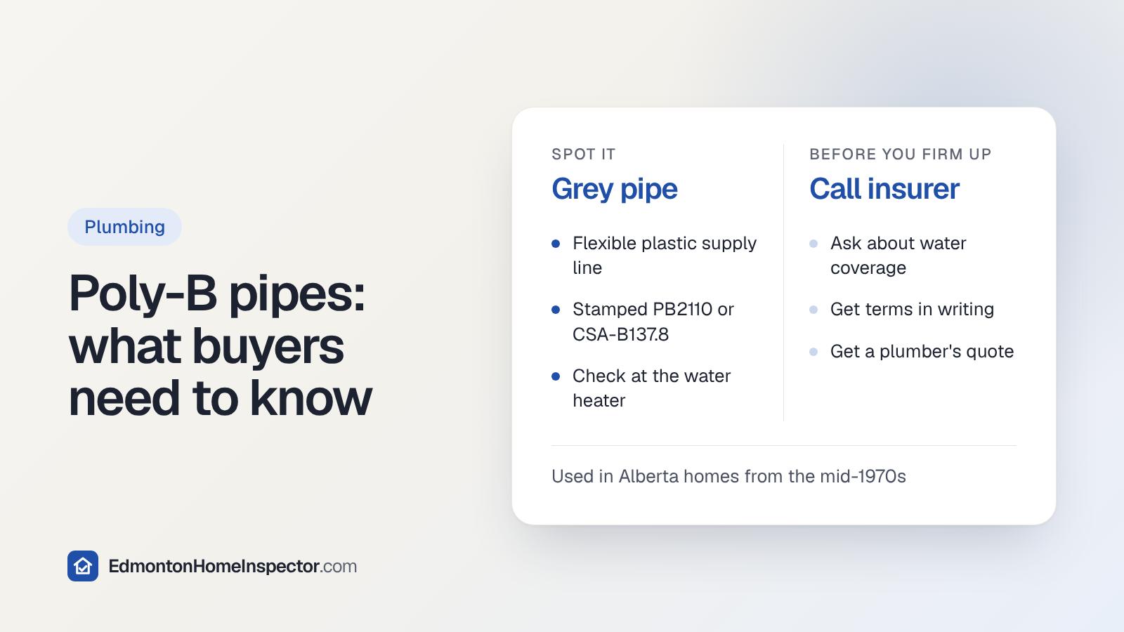 Two-panel card on Poly-B pipes: how to spot grey flexible plastic supply pipe, and what to do before firming up, such as calling your insurer and getting quotes.